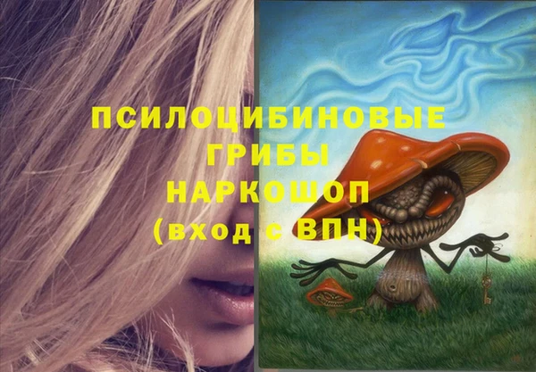 a pvp Аркадак