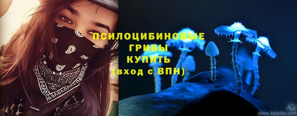 бутират Арсеньев