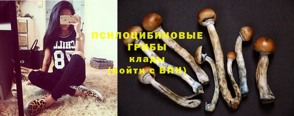 кокс Армянск
