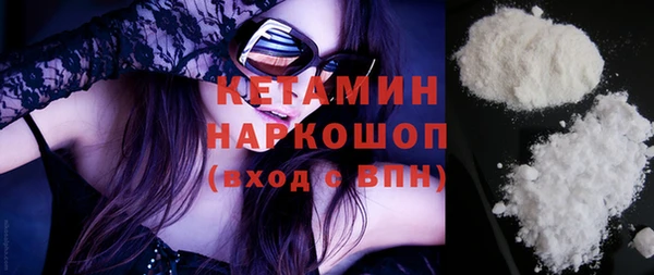 индика Осташков